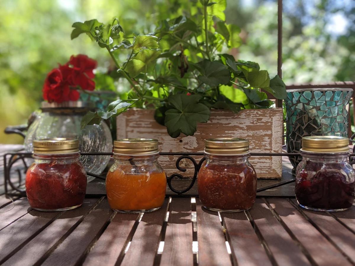 Garrigues-et-Sainte-Eulalie Les Jardins D'Holi Proche Uzes Bed & Breakfast エクステリア 写真