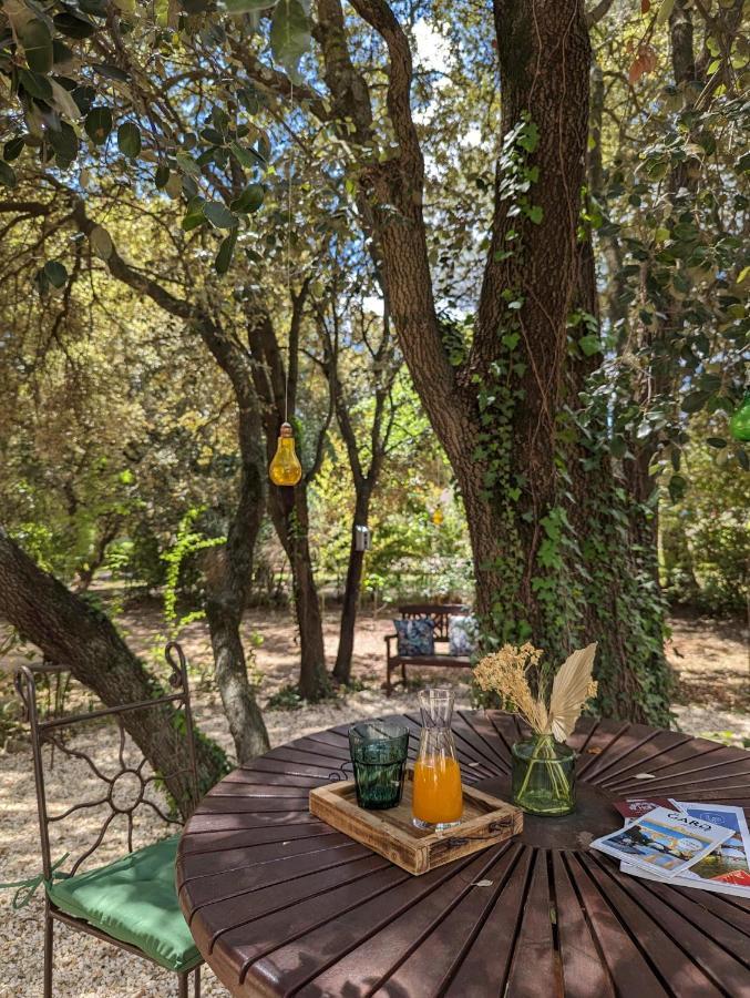 Garrigues-et-Sainte-Eulalie Les Jardins D'Holi Proche Uzes Bed & Breakfast エクステリア 写真