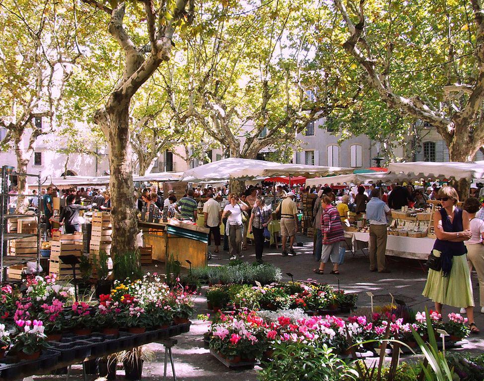 Garrigues-et-Sainte-Eulalie Les Jardins D'Holi Proche Uzes Bed & Breakfast エクステリア 写真