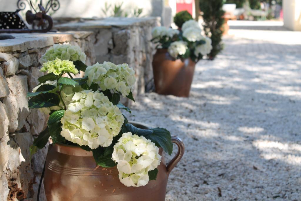 Garrigues-et-Sainte-Eulalie Les Jardins D'Holi Proche Uzes Bed & Breakfast エクステリア 写真